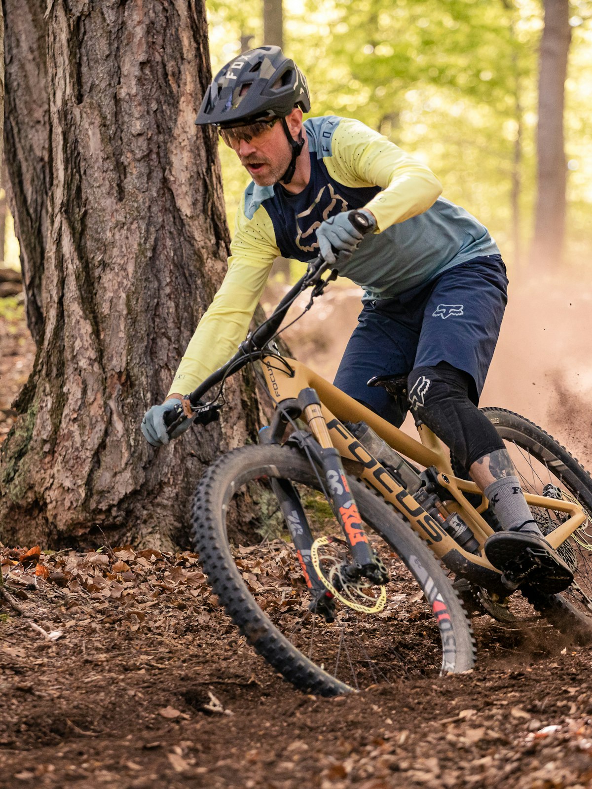 Mountain bike nel bosco